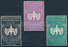 1913 Nemzetközi és Rendszerközi Gyorsíró Kongresszus 3 db levélzáró