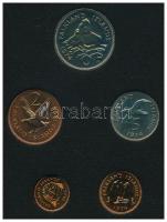 Falkland-szigetek 1974. 1/2c-10c (5xklf) forgalmi sor dísztokban T:BU kis patina
Falkland Islands 1...