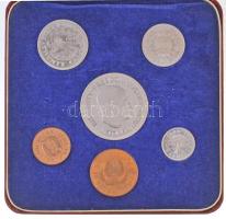 Sierra Leone 1964. 1/2c-1L (6xklf) forgalmi sor dísztokban T:1 (eredetileg PP) patina
Sierra Leone ...