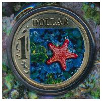 Ausztrália 2007. 1$ "Tengericsillag" multicolor, színes kartoncsomagolásban T:BU
Australi...