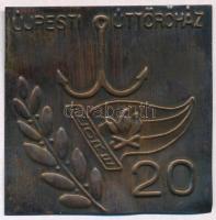 cca 1976 Újpesti úttörőház vasmacskát ábrázoló fém hajós plakett 6x6 cm