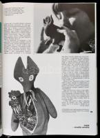 1978 Művészet folyóirat évkönyve 1978. Bp.,1979, Corvina. Kiadói kartonált papírkötés, kiadói papír ...