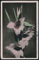 Soviet Union 1957 Szovjetunió 1957