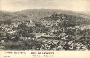 Segesvár, Schässburg, Sighisoara; látkép. Vándory kiadása / general view (EK)