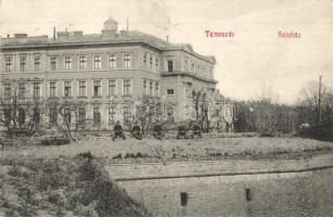 Temesvár, Timisoara; Színház / theater