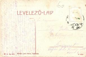 Temesvár, Timisoara; Andrássy út, villamos. W. L. Bp. 2028. Kiadja Gerő Manó  / street view, tram (r...