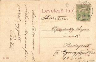 Szatmárnémeti, Szatmár, Satu Mare; Római katolikus székesegyház, nagytemplom. No. 223. / Catholic ca...