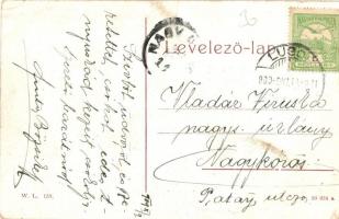 Lugos, Lugoj; látkép, híd. W. L. 153. / general view, bridge (EK)