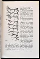 Kékessy László: A magyar vadász kézikönyve. Bársony István előszavával. Bp.,(1925), Athenaeum. Kiadó...