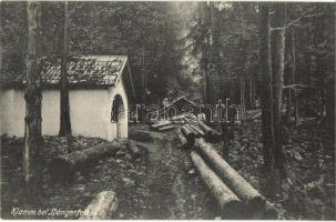 Längenfeld (Tirol), Klamm, logging