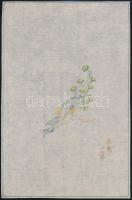 cca 1900-1950 Fenghuang madár, kínai fametszet, 21×14 cm