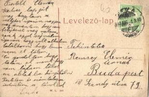 Déva, Deva; Aradi út. W. L. 503. / street view (r)