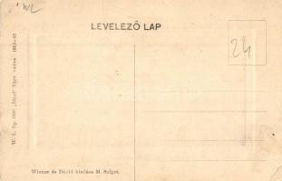 Máramarossziget, Sighetu Marmatiei; Iza folyó hídja. Wizner és Dávid kiadása. W. L. Bp. 6061. Ideal ...