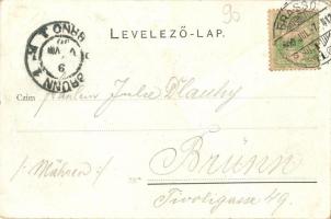 1900 Brassó, Kronstadt, Brasov; Evgl. Mädchenschule. Verlag W. Hiemesch / Evangélikus lányiskola. W....