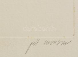 Pál Zsuzsanna (?-?): Zenész IV., lágyalap, papír, jelzett, számozott (5/8), 48×34,5 cm