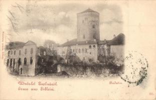 1900 Zsolna, Sillein, Zilina; Budatin vár, kastély. Nürnberg Ármin kiadása / Budatín castle (EK)