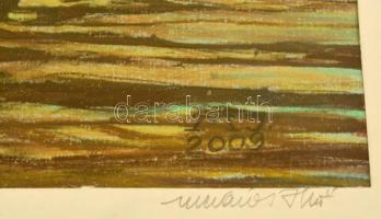 Mészáros Jenő (?-): Pihenő. Vegyes technika, papír, jelzett, üvegezett keretben, 27×20 cm