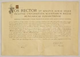 1929 Jogi diploma. Weszely és Molnár aláírásokkal