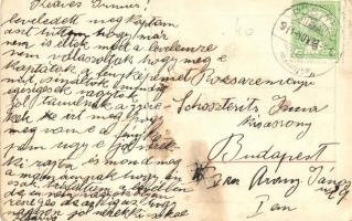 Pöstyén, Pistyan, Piestany; Pöstyéni alakok. Egy liptómegyei paraszt feleségét tolókocsin a fürdőbe ...