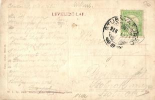 Stubnyafürdő, Túróchévíz, Stubnianske Teplice, Turcianske Teplice; Erzsébet lak. W. L. Bp. 4863. Kia...