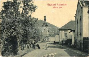 Csetnek, Stítnik; Jolsvai utca, Evangélikus templom. W. L. Bp. 5999. / street view, Lutheran church (fa)