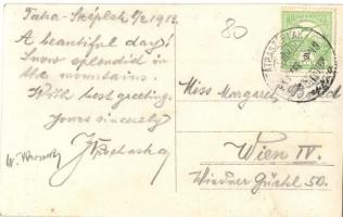 1918 Tátraszéplak, Weszterheim, Tatranska Polianka; Téli élet, kormányozható bob, szánkó. Dr. Guhr M...