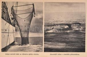 Roy Chapman Andrews: A sarkoktól az egyenlítőig. Fordította: Havas József. A világjárás hősei. Bp., ...