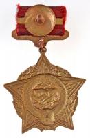 Szovjetunió 1988. "Internacionalista" zománcozott fém kitüntetés szalagon, Afganisztánban ...