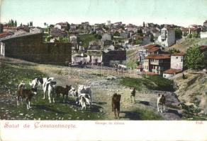 Constantinople, Istanbul; Groupe de chiens / Turkish folklore, group of dogs (gyűrődés / crease)