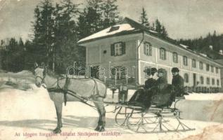 Tátra, A idegenforgalmi vállalat Stolkjaere szánkája, lovasszán télen / horse sled of the tourism company in winter. advertisement card (EB)