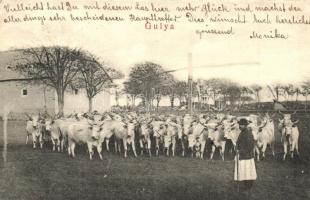 Gulya. Hátoldalon sorsjegy a Szegény gyermekpoliklinika javára / Hungarian ox herd, folklore. Charity lottery ticket on the backside (EK)