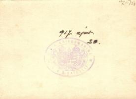 1917 Osztrák-Magyar Haditengerészet SMS Satellit Satellit-osztályú torpedóhajó (őrhajó) matrózai / W...