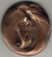 Bronz Plakett, 1974, James Ensor, 1860-1949, G.Varbanov, Erh.: st/verdefényes, RRRR! (nur 5 St)