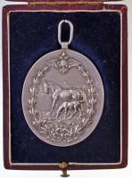 Ausztria ~1900. "Lótenyésztés állami díja" peremén jelzett Ag díjérem szalag nélkül, erede...