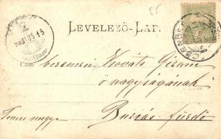 1903 Csenger, kastély, kúria. photo (EK)