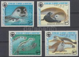 WWF: Seals, WWF: fókák