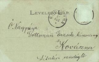 1899 Bártfa, Bardejov,  Bardejovské Kúpele, Bardiov;  Új gyógyház, Werther J. üzlete. Divald K. fia ...