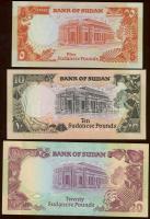 Szudán 1991. 5Ł, 10Ł, 20Ł, 50Ł T:I