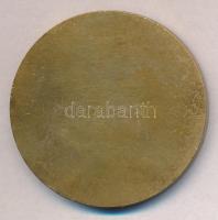 Vincze Dénes (1914-1972) 1958. "XI. Úszó, Műugró, Vízilabda Európa Bajnokság - Budapest" B...