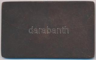 DN "Magyar Atletikai Club" Br emlékplakett. Szign.: FÁBRI (82x49mm) T:2