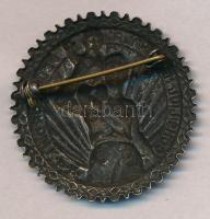 Románia DN "Nők Nemzeti Tanácsa" fém jelvény (37mm) T:2
Romania ND "National Council...