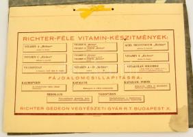 cca 1930 A Richter féle vitaminkészítmények reklám kiadványa. 9 merített papíros táblán termékbemutatók, a gyógyszergyár címerével ellátott dombornyomott mappában. 41x29 cm