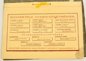 cca 1930 A Richter féle vitaminkészítmények reklám kiadványa. 9 merített papíros táblán termékbemutatók, a gyógyszergyár címerével ellátott dombornyomott mappában. 41x29 cm