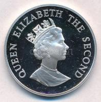 Falkland-szigetek 1987. 50p Ag "Királypingvinek" T:PP felületi karc
Falkland Islands 1987...