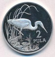 Botswana 1986. 2P Ag Zambézi kócsag T:PP felületi karc Botswana 1986. 2 Pula Ag Slaty Egret C:PP slightly scratched Krause KM#18