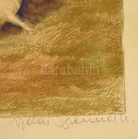 Vidai Brenner Nándor (1903-?): Hazafelé. Színes litográfia, papír, jelzett, üvegezett keretben, 24×3...