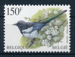 Definitive; bird stamps, Forgalmi; madár bélyeg