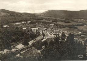 Farkaslyuk, Rimamurányi-Salgótarjáni Vasmű rt. Kőszénbánya