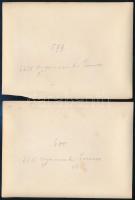 cca 1910-1930 Tornóc (ma: Trnovec nad Váhom, Szlovákia), magyar nők a vasútállomáson, 2 db fotó, hát...