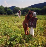 cca 1988 Menesdorfer Lajos (1941-2005) budapesti fotóművész felvételei, 8 db vintage negatív, 6x6 cm